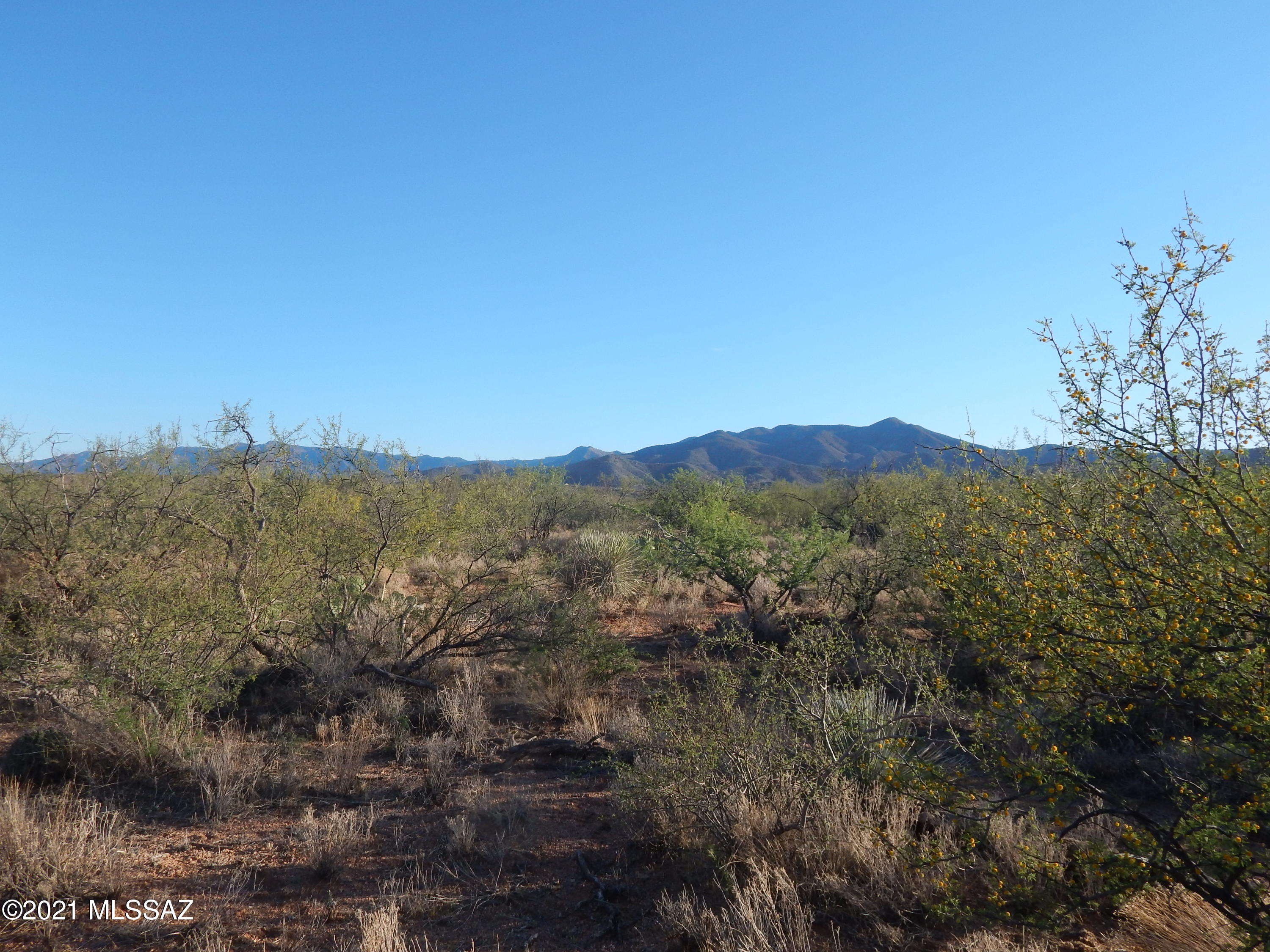South Goldbug Road Oracle, AZ 85623 - Photo 7 of 12 a view of a mountain range with trees in the background