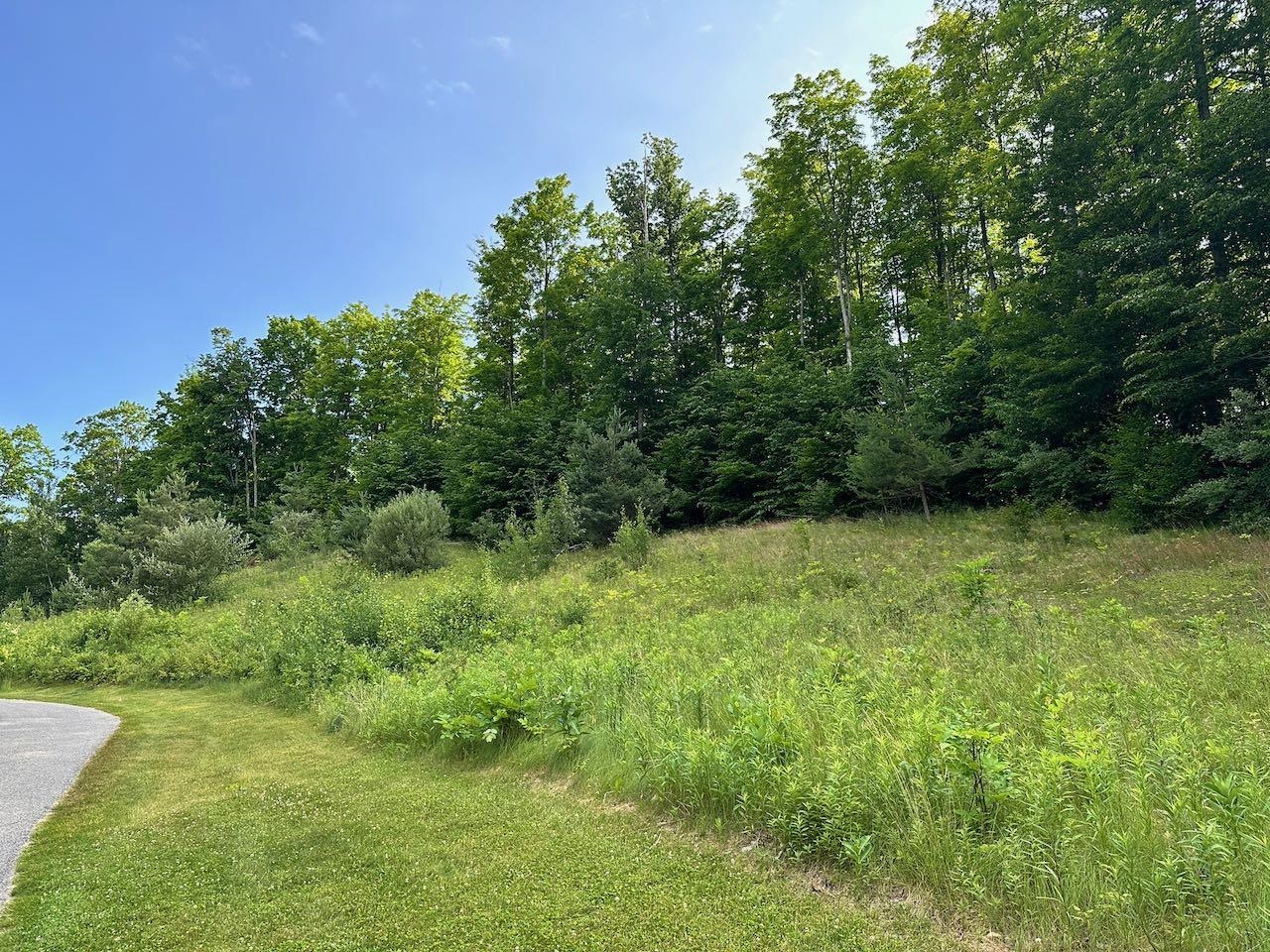 170 Raptor Run, Unit LOT: 170 Bellaire, MI 49615 - Photo 7 of 29