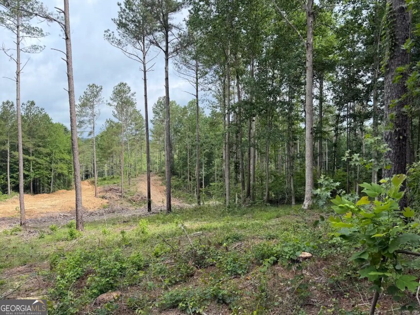 0 Mt Sinai Road, Unit LOT 1 Lula, GA 30554 - Photo 49 of 67