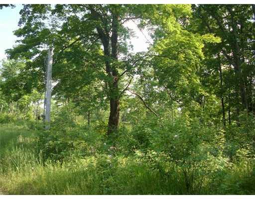 0 Maplecrest Road Parsonsfield, ME 04047 - Photo 6 of 6 Land/Lot.