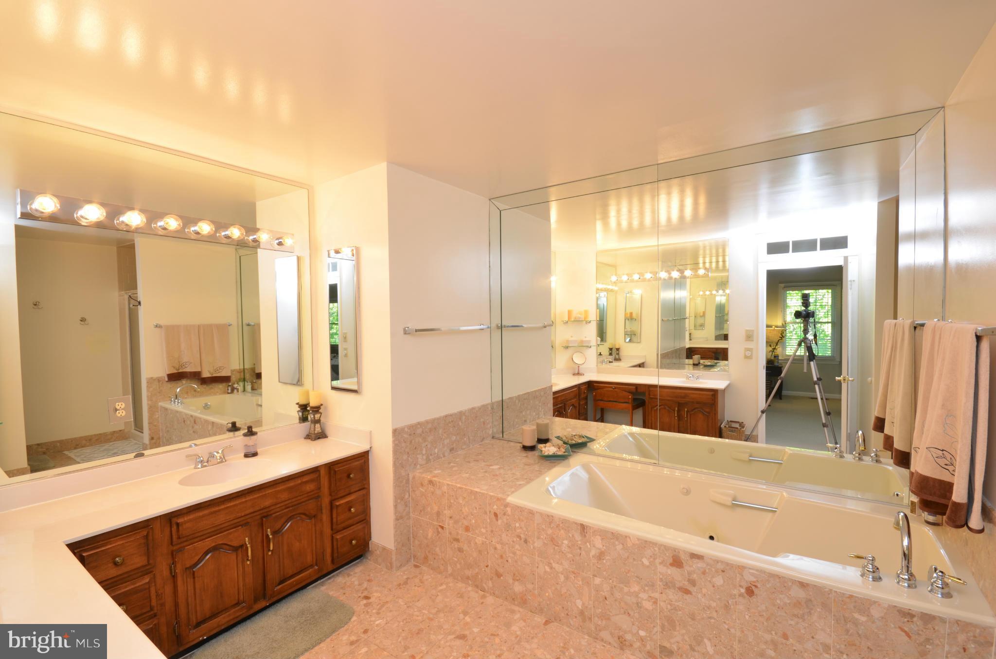 10771 Brewer House Road Rockville, MD 20852 - Photo 18 of 30 a spacious bathroom with a tub sink and mirror