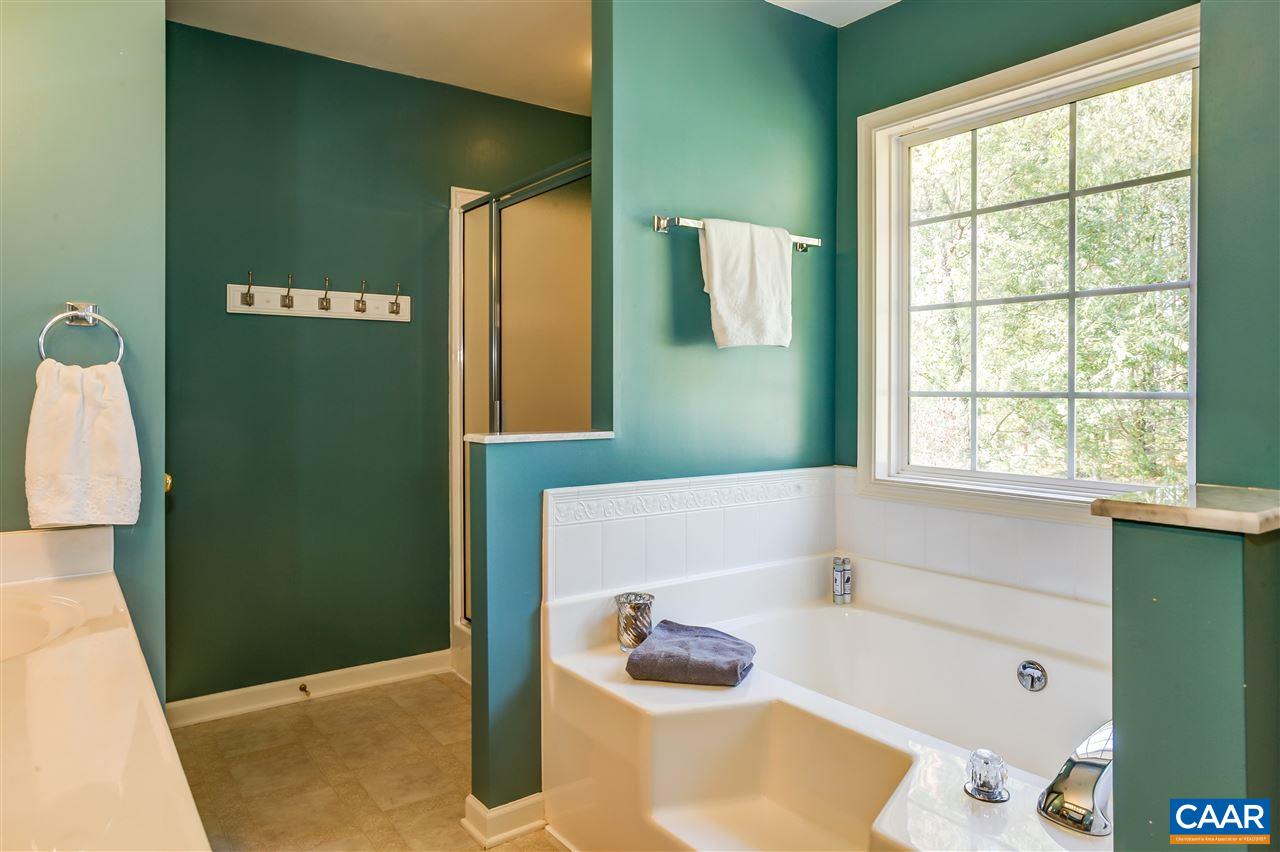 237 White Cedar Road Barboursville, VA 22923 - Photo 21 of 46 Gallery Image 21