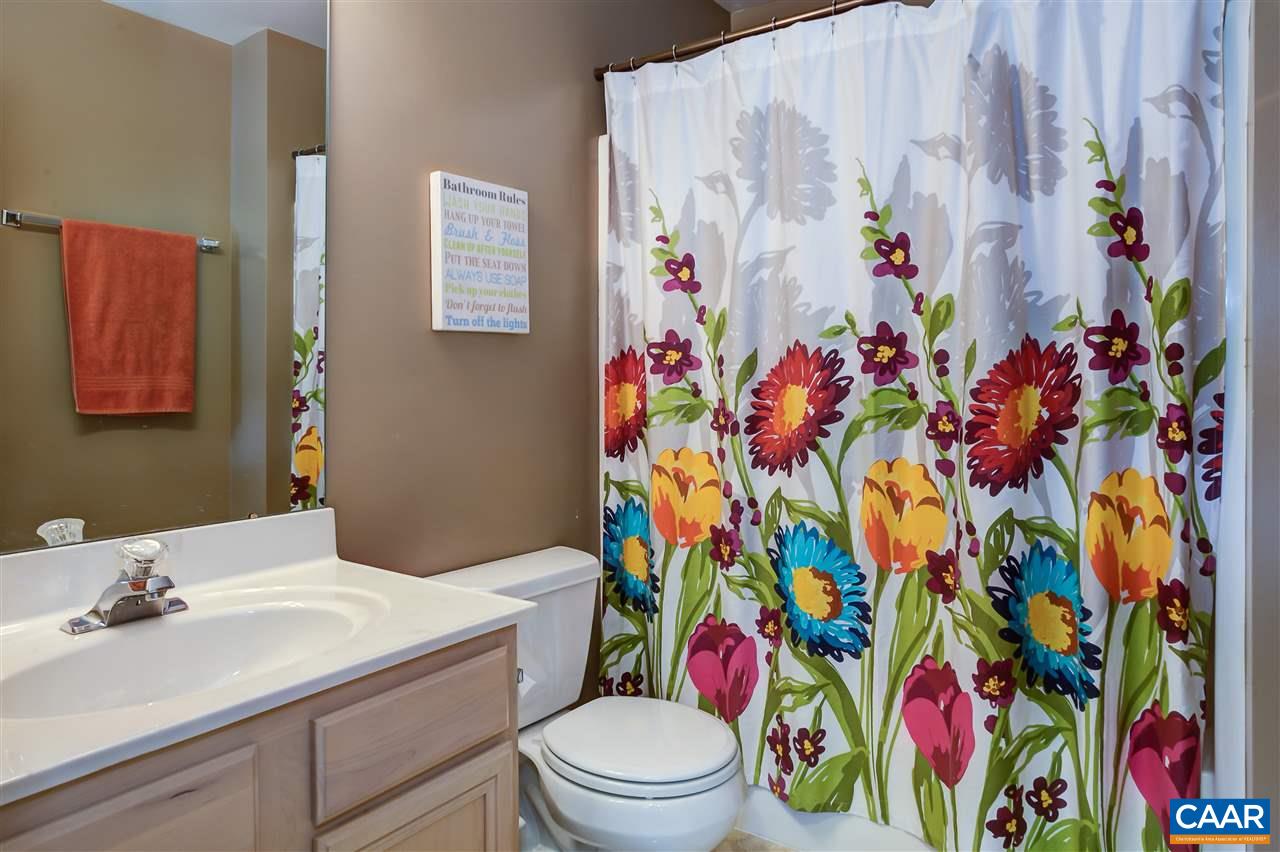 237 White Cedar Road Barboursville, VA 22923 - Photo 26 of 46 Gallery Image 26