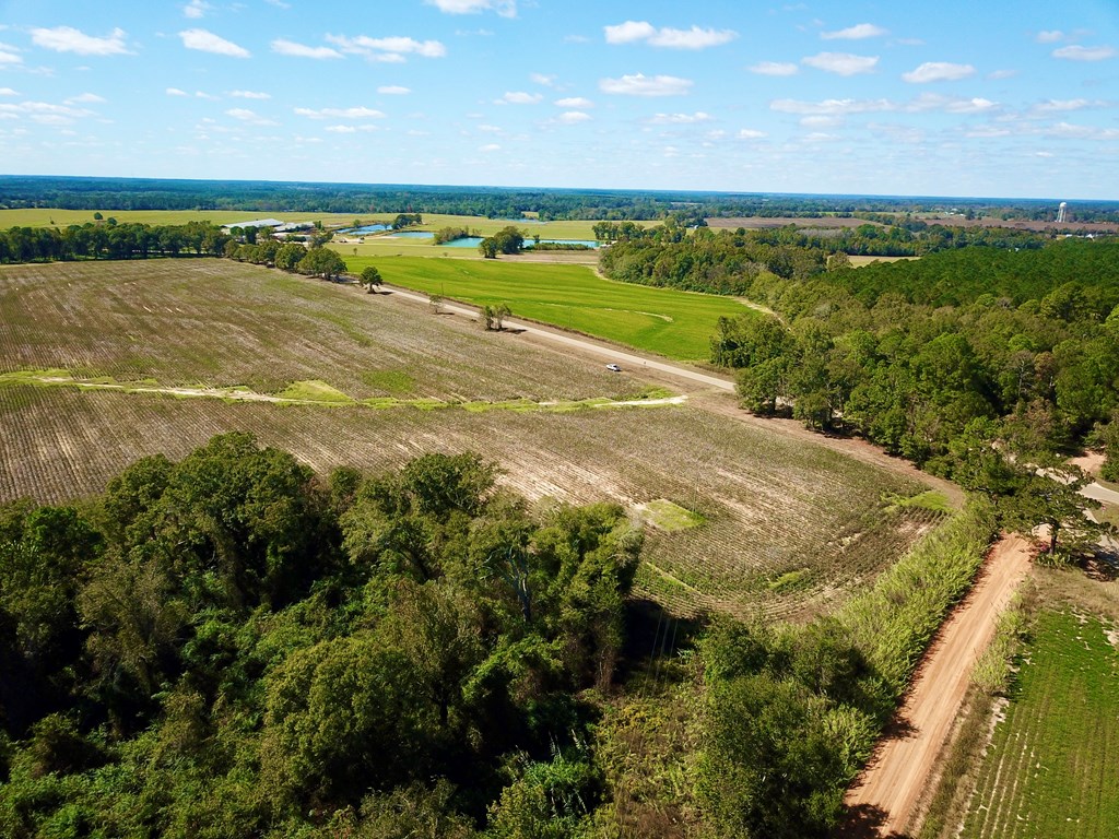 92 County Road 92 Slocomb, AL 36375 - Photo 27 of 32