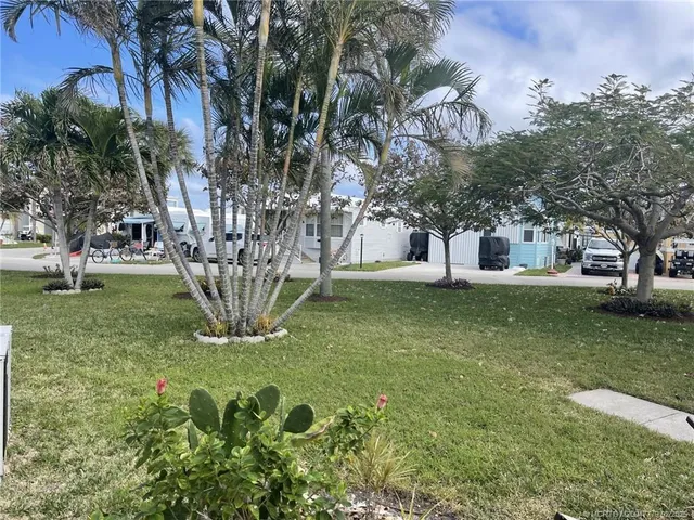 a view of a garden with a tree