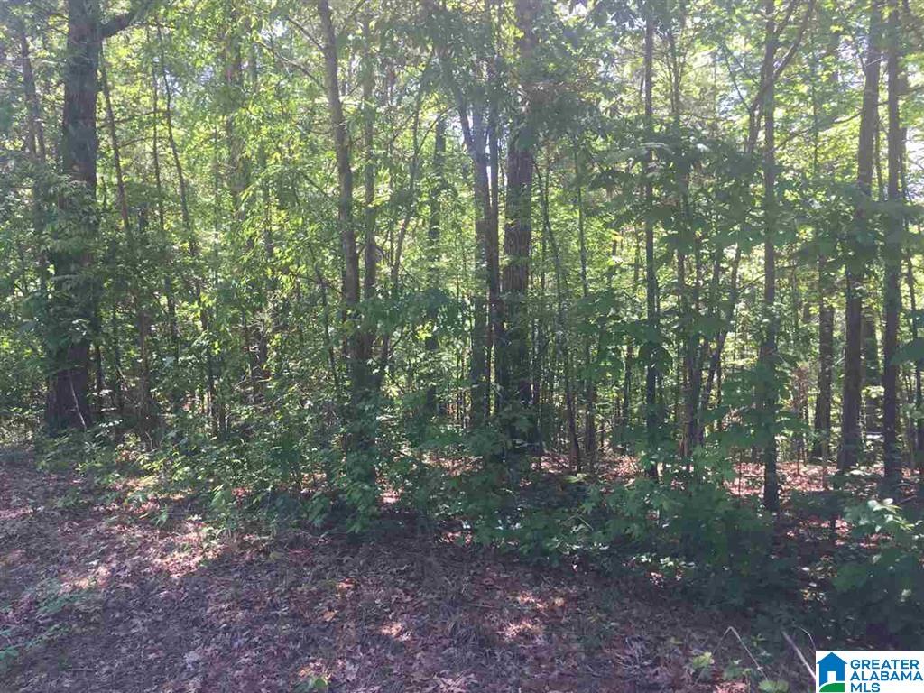 0 County Road 153 Jemison, AL 35085 - Photo 1 of 2
