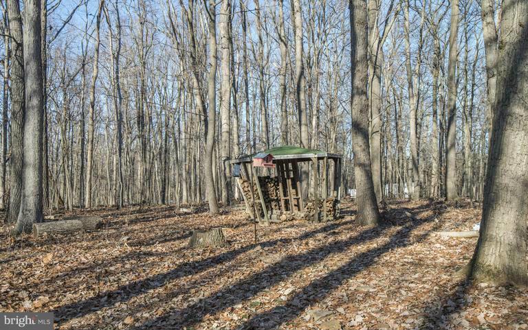 1954 Carrollton Road Finksburg, MD 21048 - Photo 23 of 26 Gorgeous wooded lot