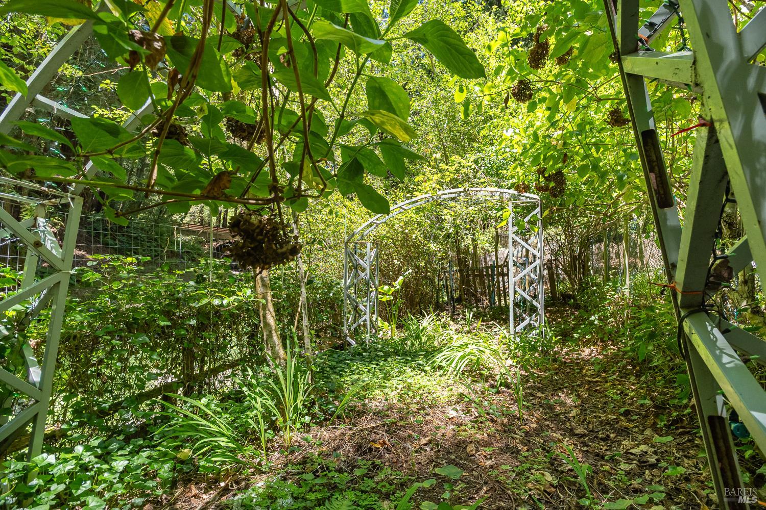 7001 Lucas Valley Road Nicasio, CA 94946 - Photo 16 of 41