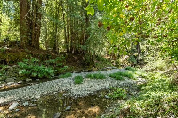 $850,000 | 7001 Lucas Valley Road, Nicasio, CA 94946