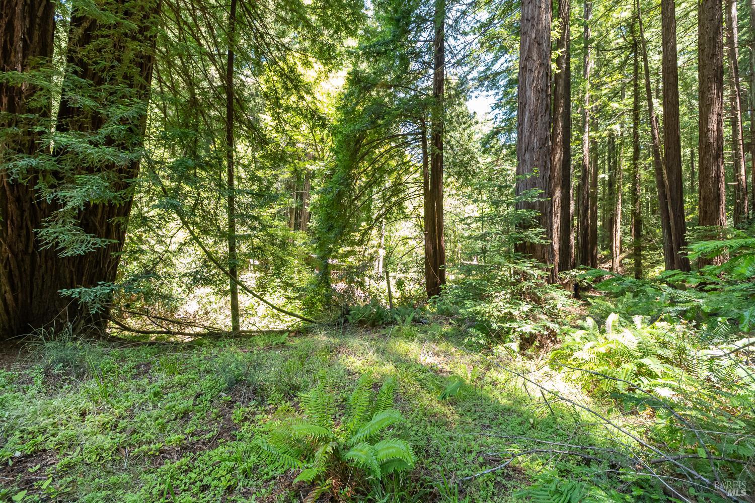 7001 Lucas Valley Road Nicasio, CA 94946 - Photo 23 of 41