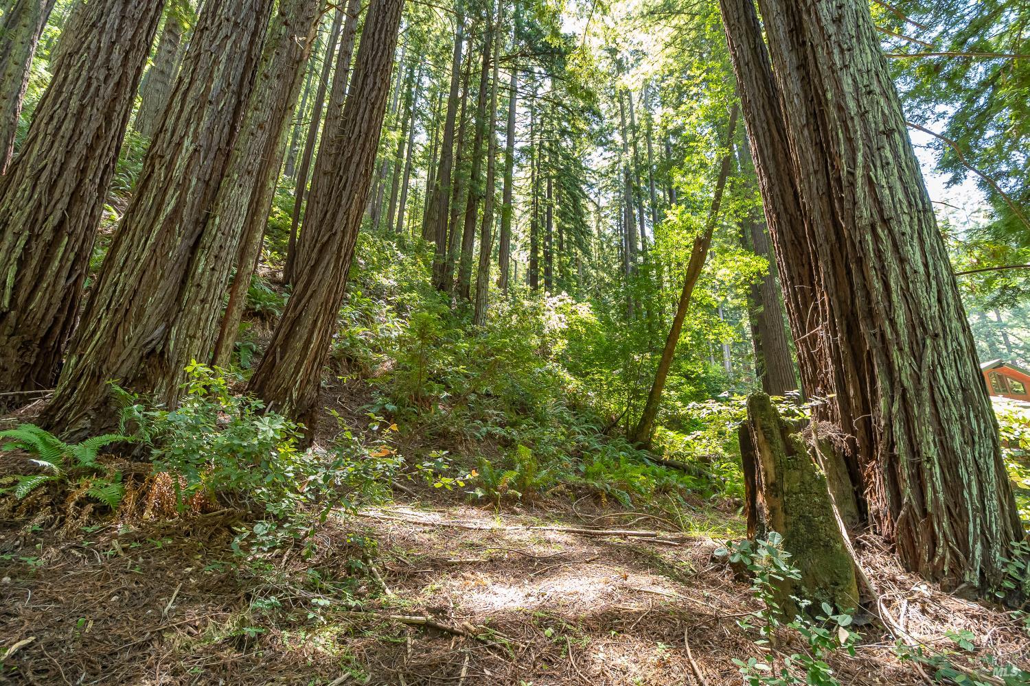 7001 Lucas Valley Road Nicasio, CA 94946 - Photo 26 of 41