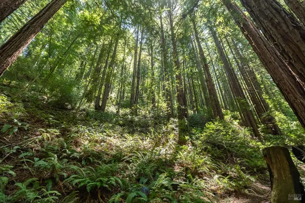 $850,000 | 7001 Lucas Valley Road, Nicasio, CA 94946