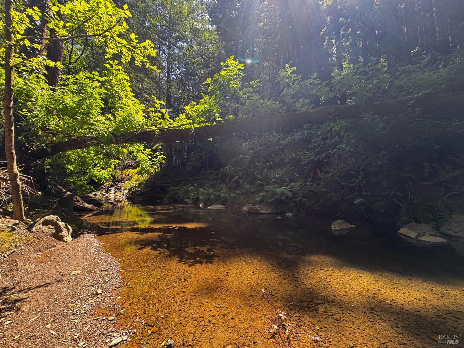 7001 Lucas Valley Road Nicasio, CA 94946 - Photo 40 of 41