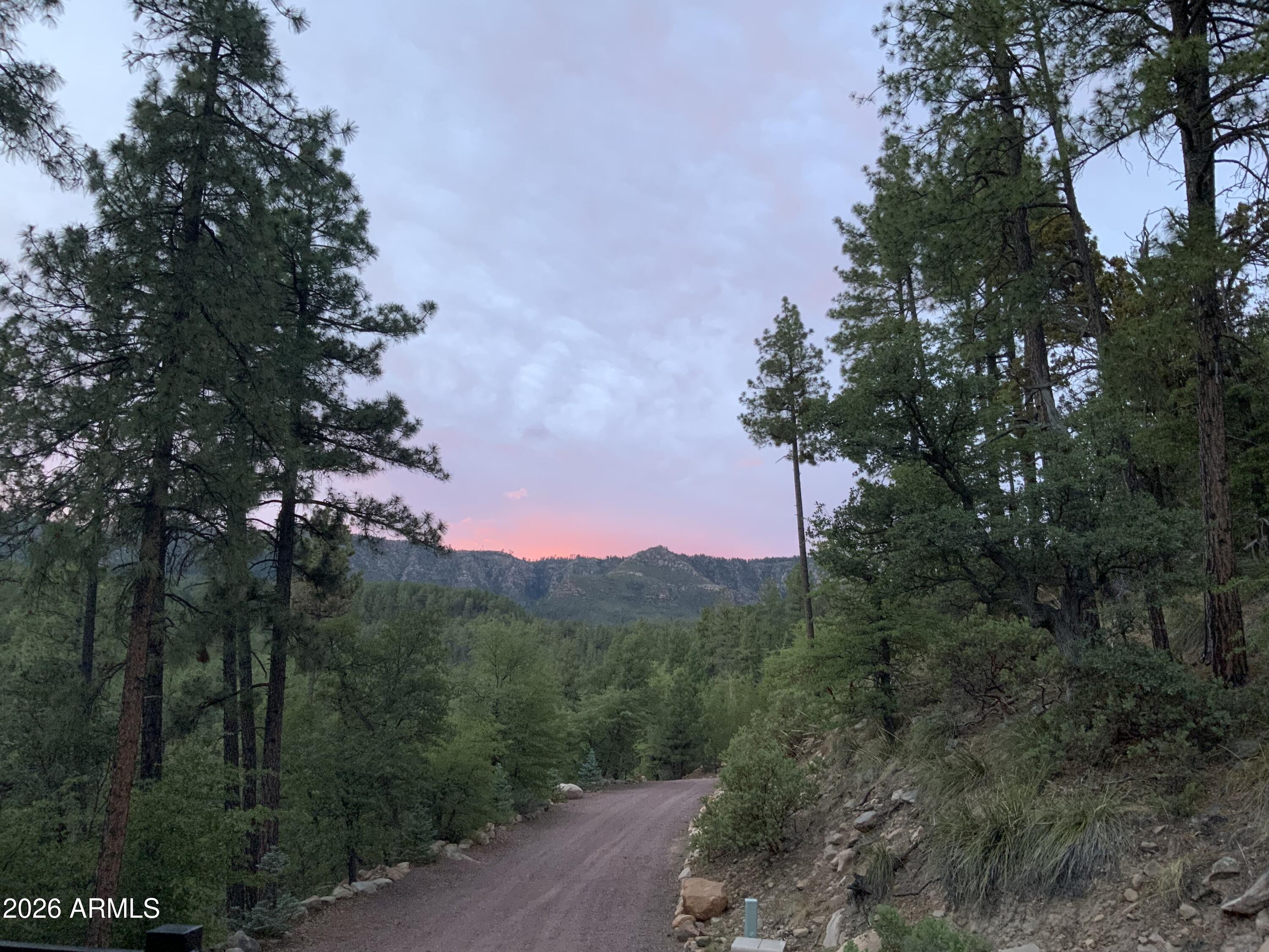415 East Rim Estates Trail Payson, AZ 85541 - Photo 2 of 76 a view of a city with lush green forest