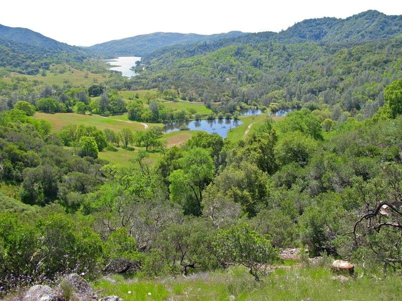 17075 Uvas Road Morgan Hill, CA 95037 - Photo 75 of 81 Gallery Image 75