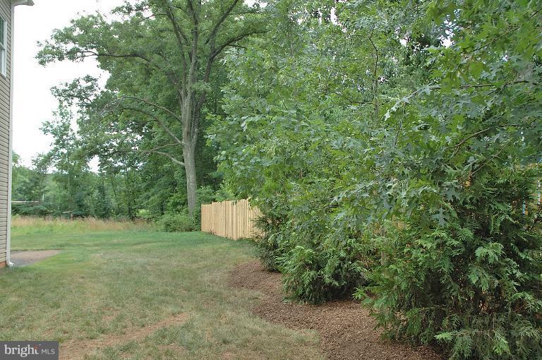 6153 Reza Court Springfield, VA 22152 - Photo 19 of 22 Exterior (Rear)