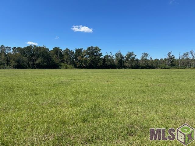 1 Old Highway Amite, LA 70422 - Photo 11 of 13