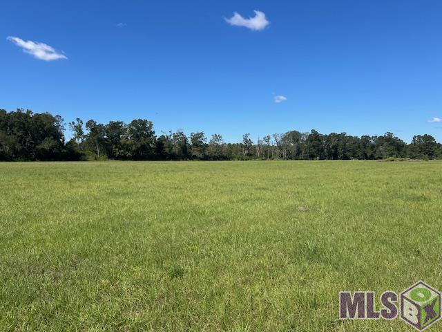 1 Old Highway Amite, LA 70422 - Photo 4 of 13