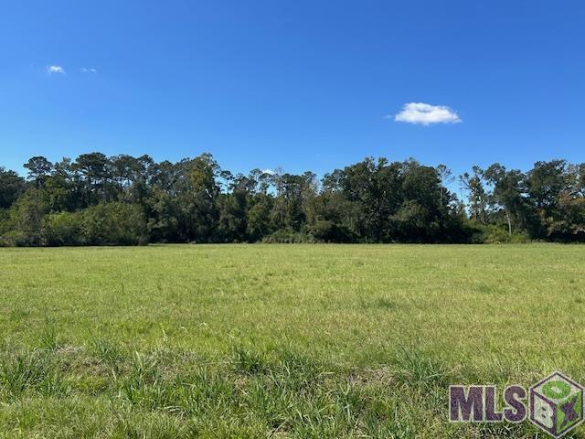 1 Old Highway Amite, LA 70422 - Photo 8 of 13