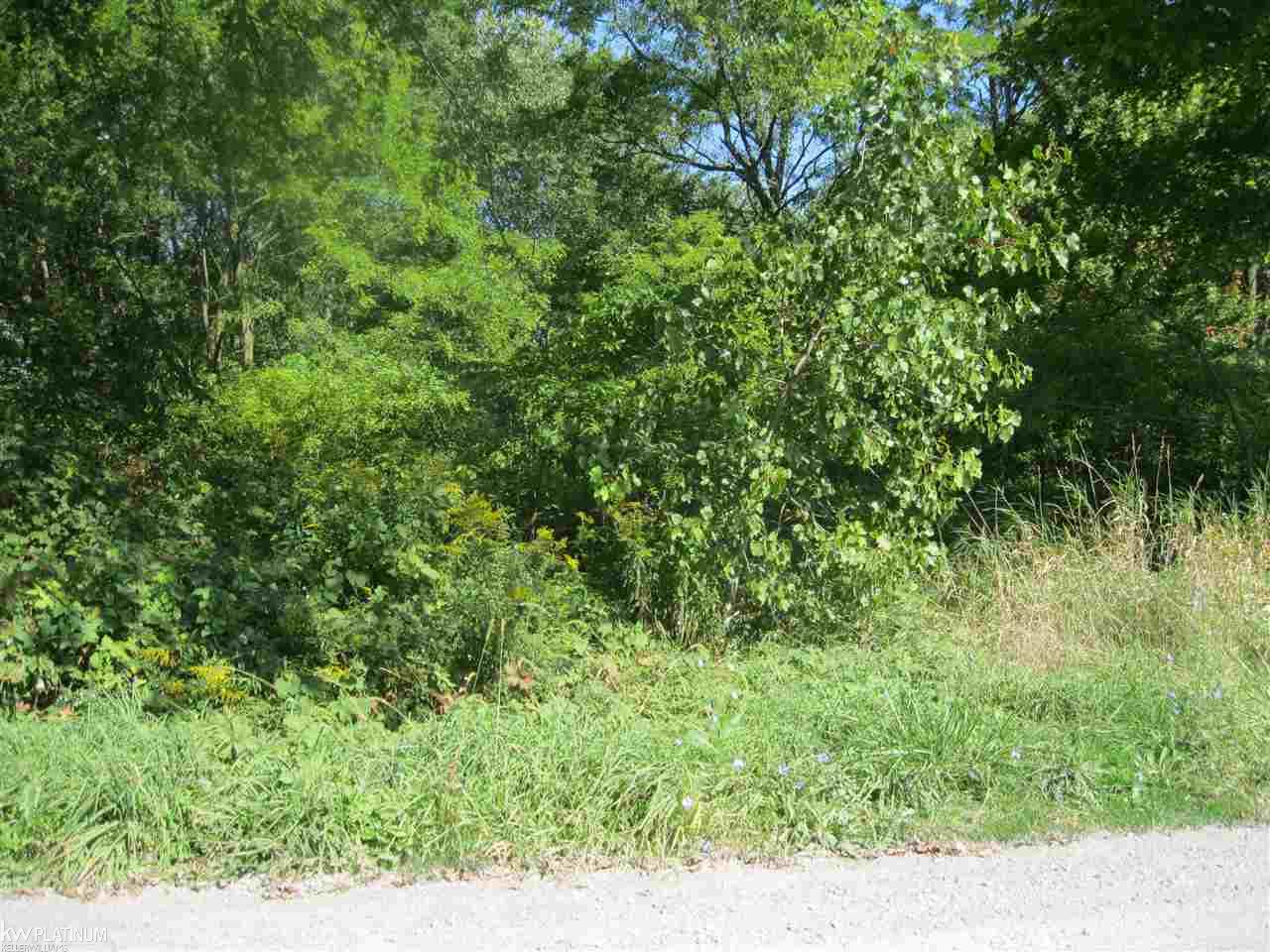 Ob Green Goodells, MI 48027 - Photo 2 of 10