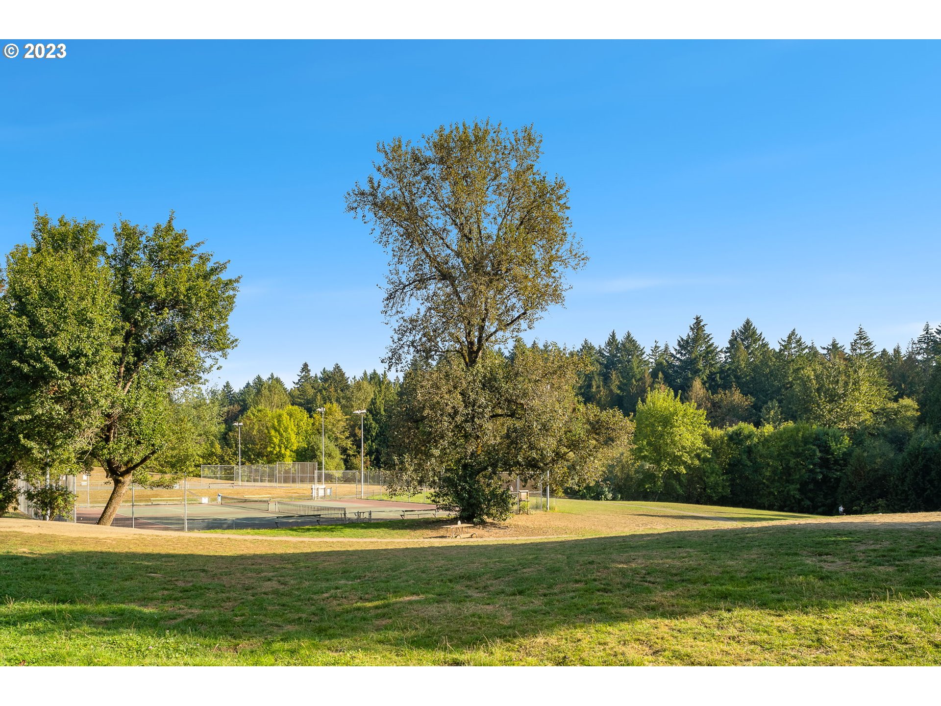 7660 Southwest 36th Avenue Portland, OR 97219 - Photo 33 of 40 a view of big yard with an trees