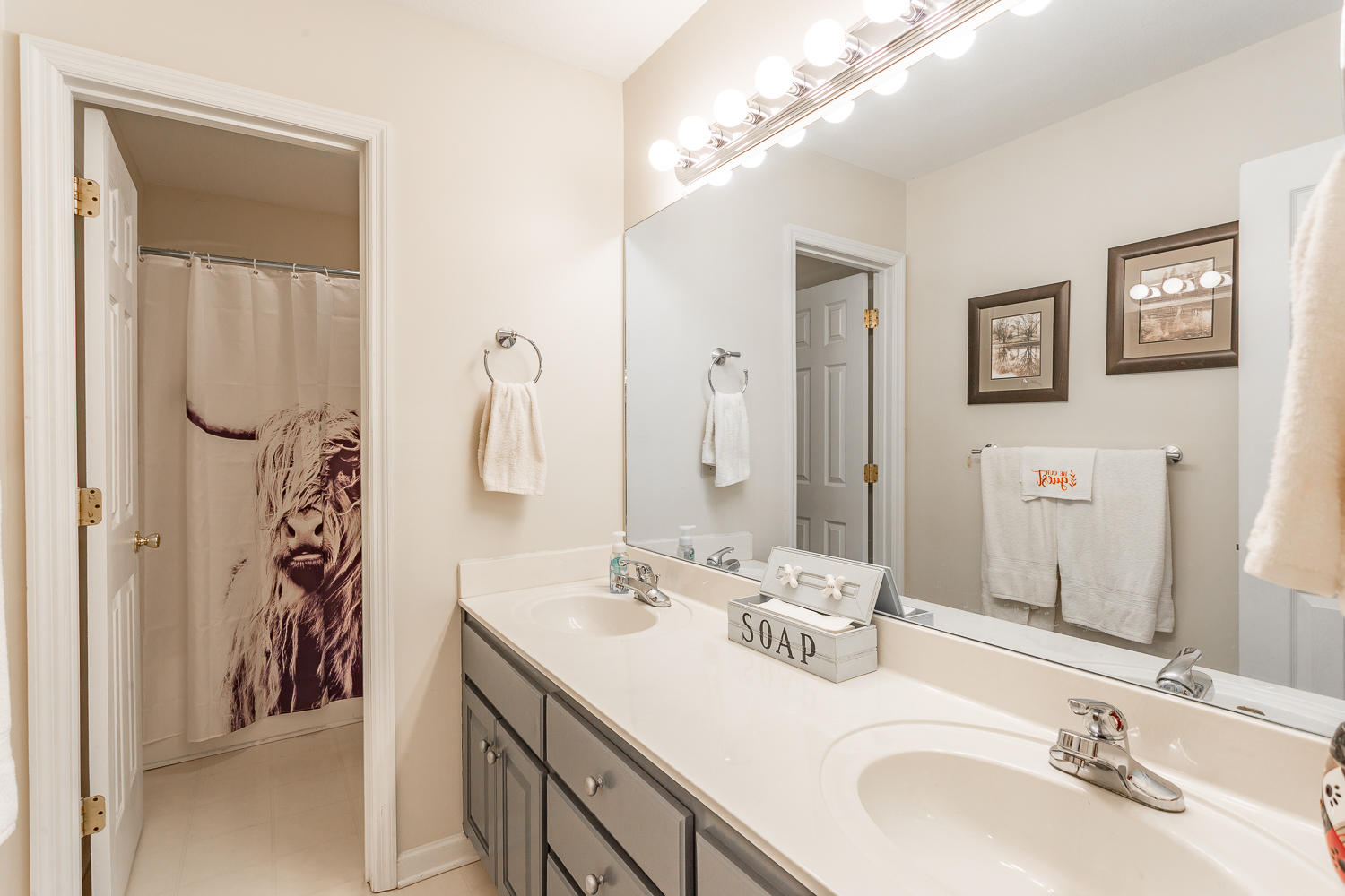 1186 Grand Center Road Chickamauga, GA 30707 - Photo 36 of 54 Guest Bath
