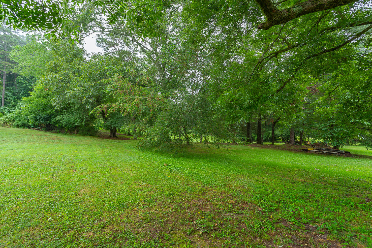 1186 Grand Center Road Chickamauga, GA 30707 - Photo 51 of 54 1186 Grand Center HD -56