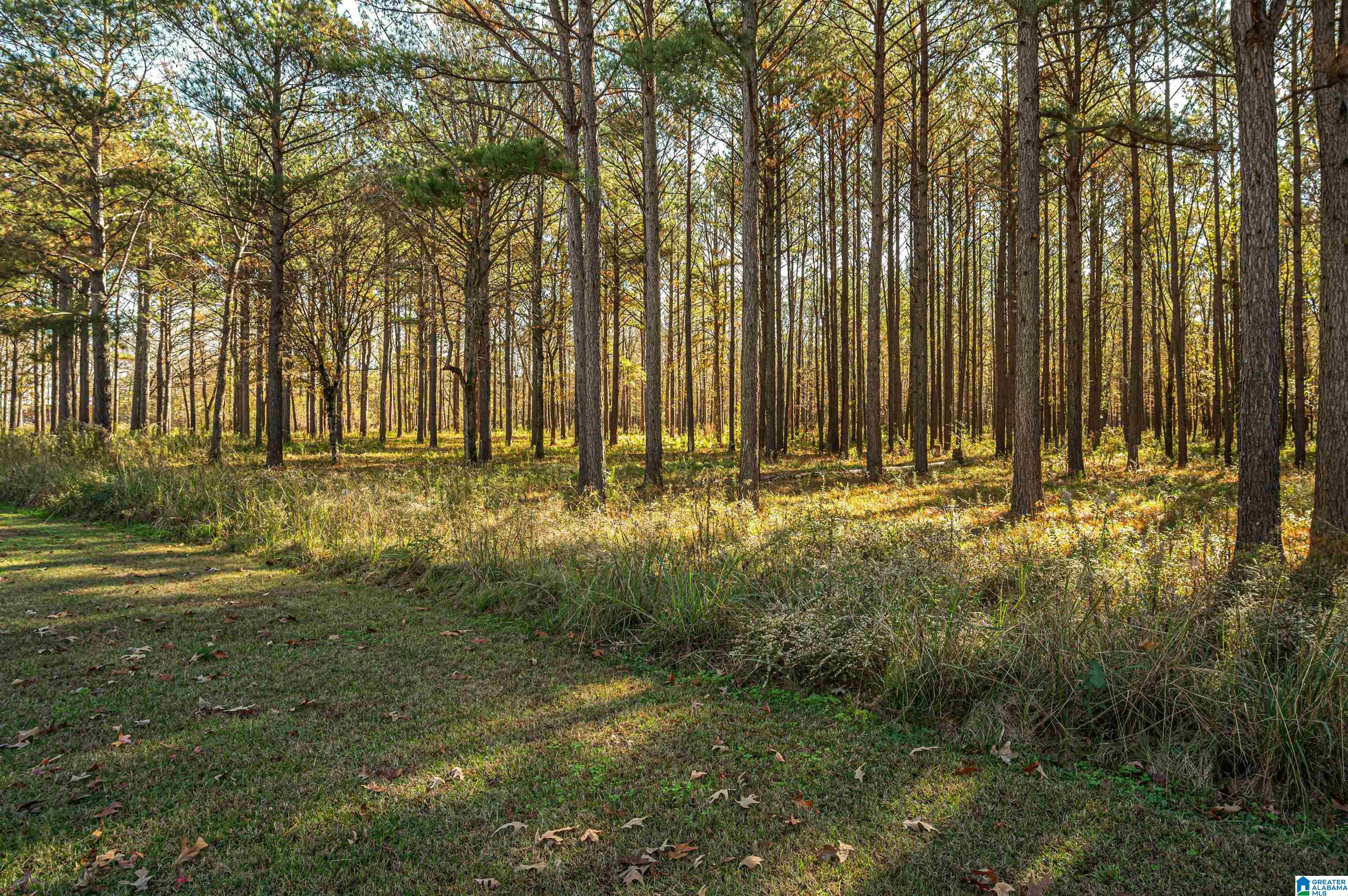 152 Cypress Point Drive, Unit 2 Akron, AL 35441 - Photo 2 of 29
