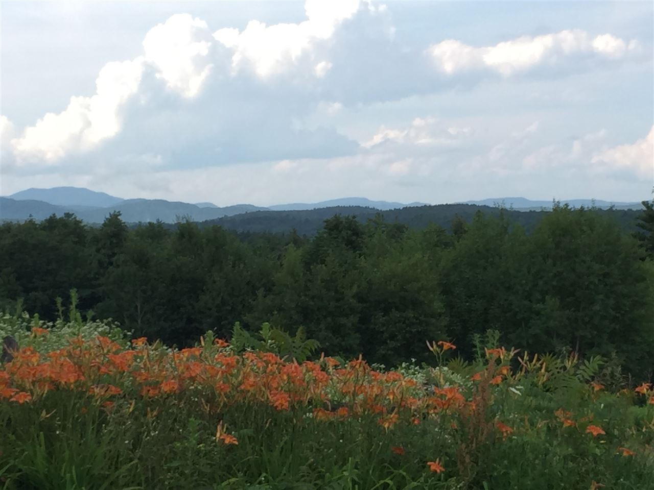 145 Burnt Hill Road Warner, NH 03278 - Photo 24 of 32 Gallery Image 24