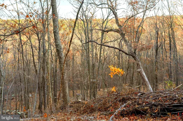 a view of a backyard of the house
