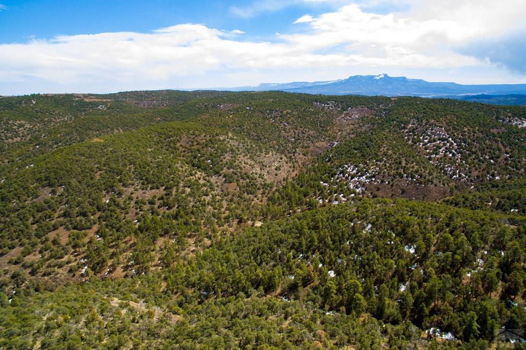 Tbd Turkey Run Trinidad, CO 81082 - Photo 4 of 60