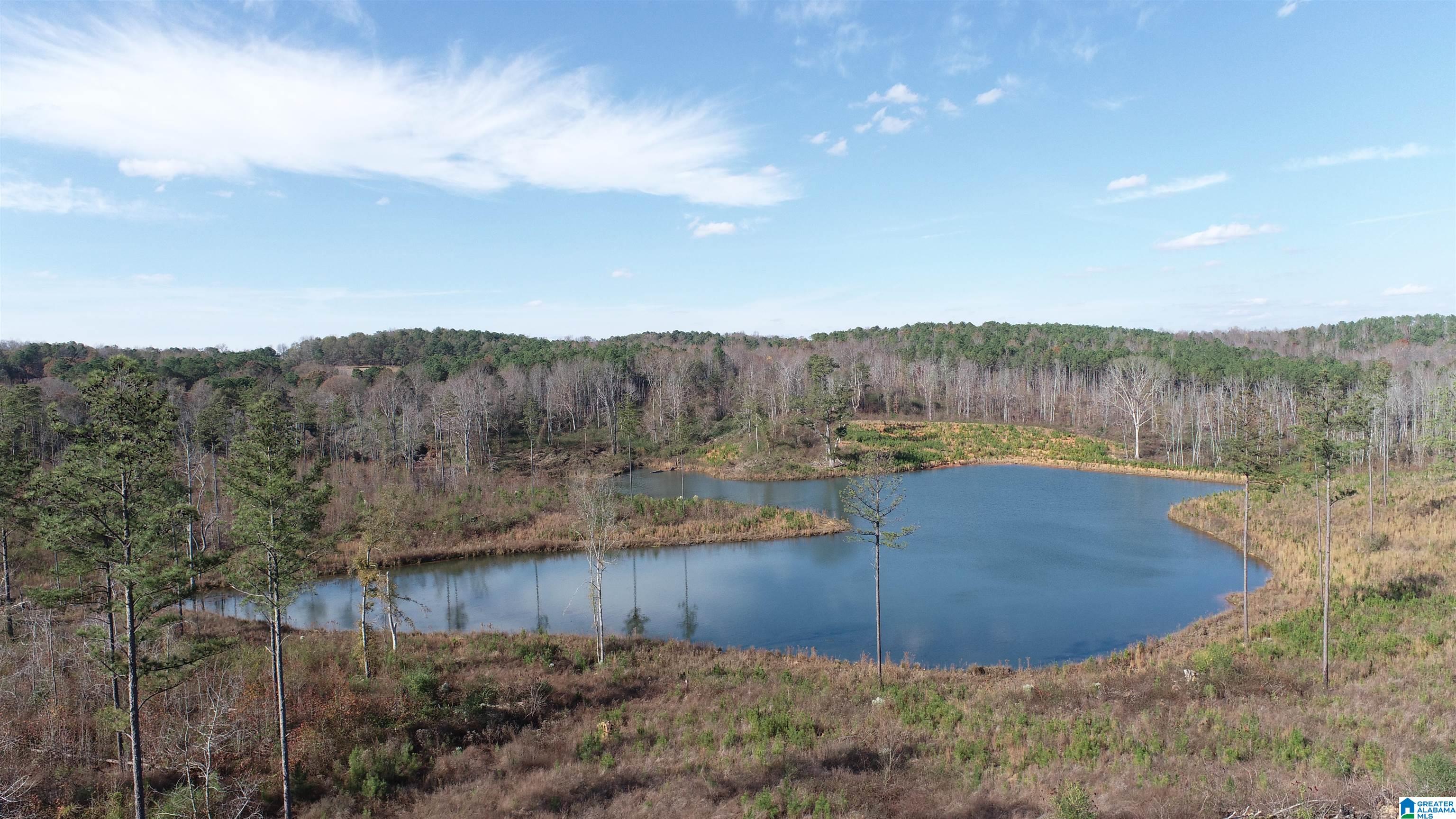121 County Road, Unit 1 Wedowee, AL 36278 - Photo 1 of 7 Gallery Image 1