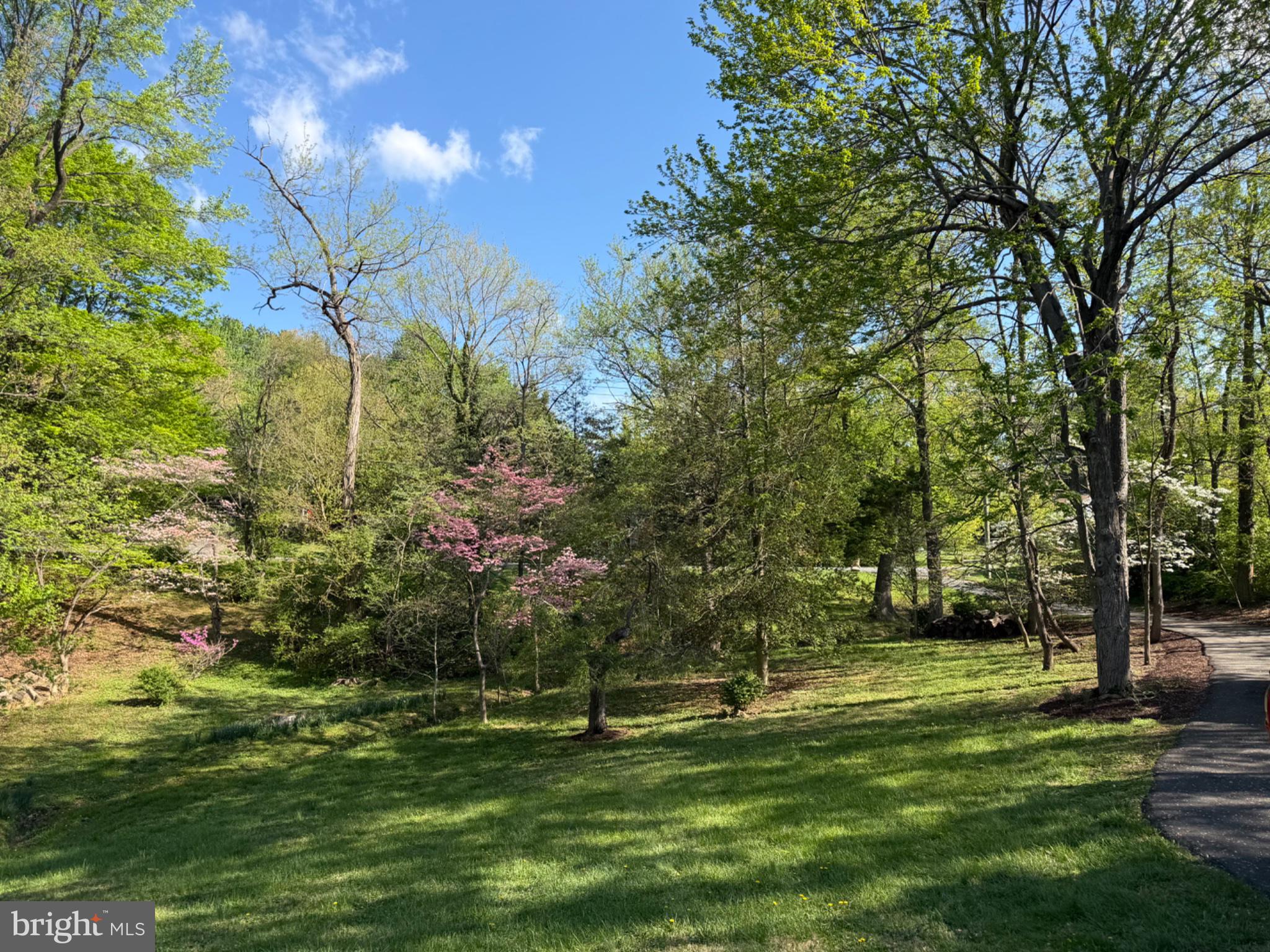 12410 Piedmont Road Clarksburg, MD 20871 - Photo 2 of 64 Lush greenery and blooming tranquility.