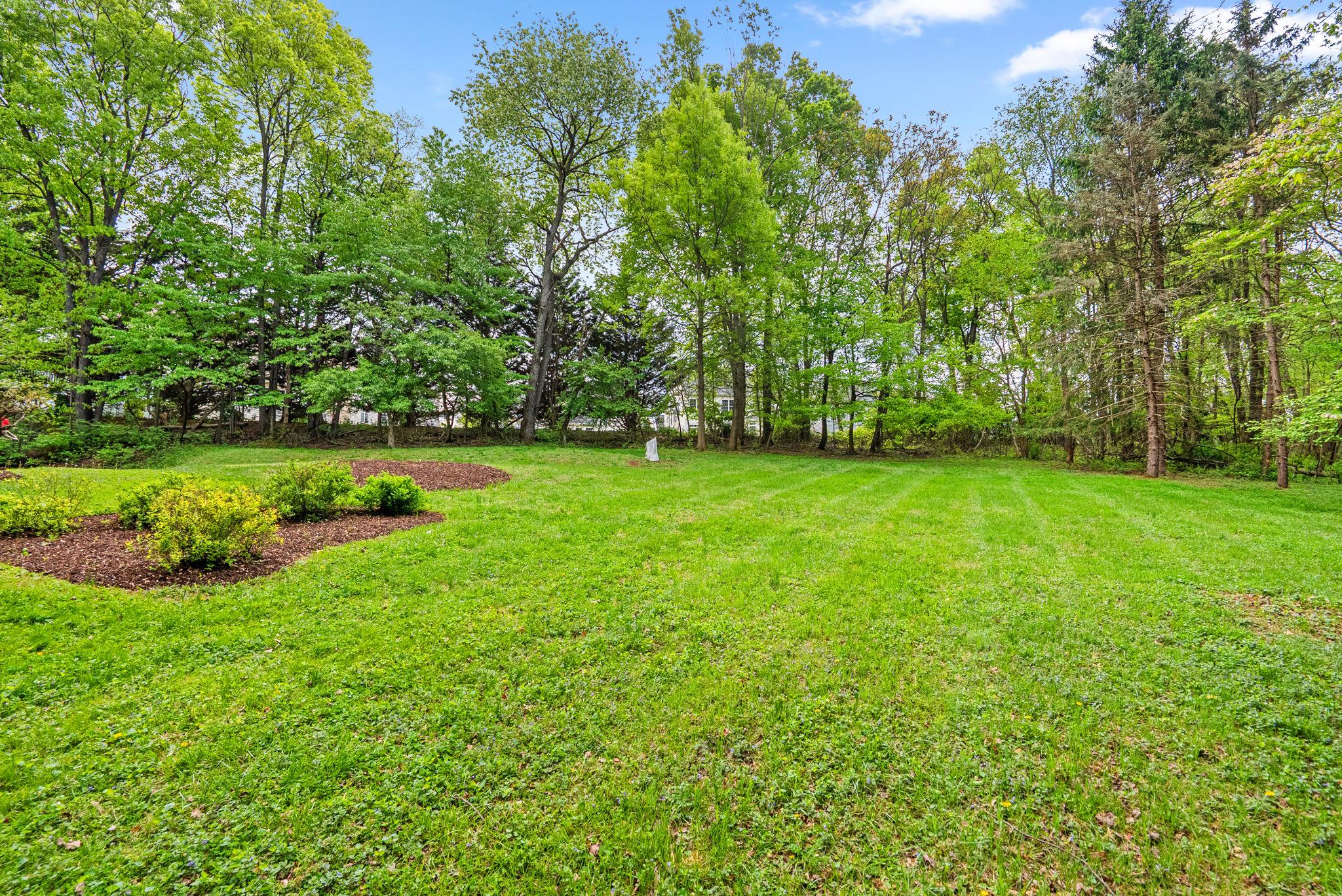 12410 Piedmont Road Clarksburg, MD 20871 - Photo 56 of 64 White cover - for the last standing blueberry bush