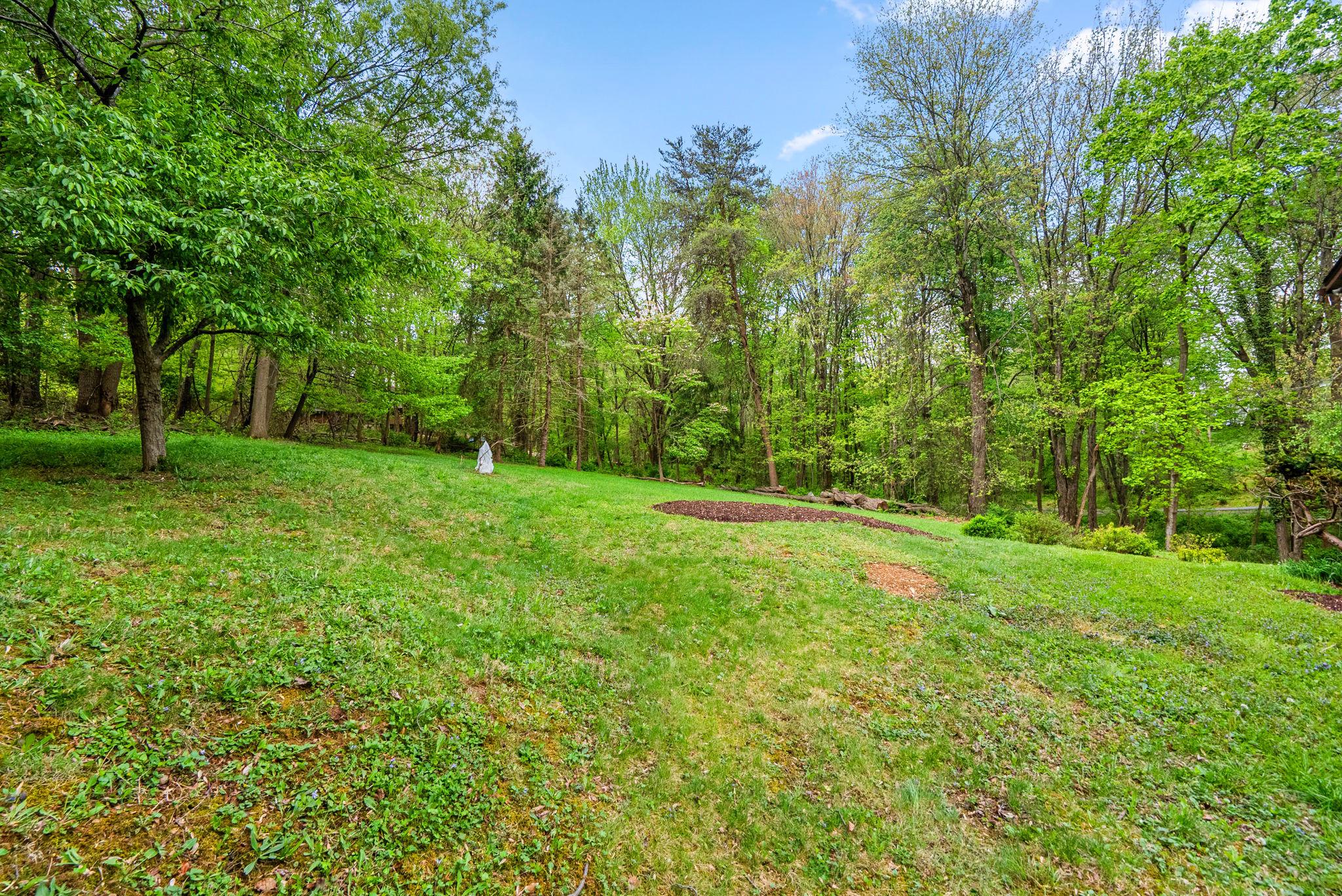12410 Piedmont Road Clarksburg, MD 20871 - Photo 60 of 64 White cover - for the last standing blueberry bush