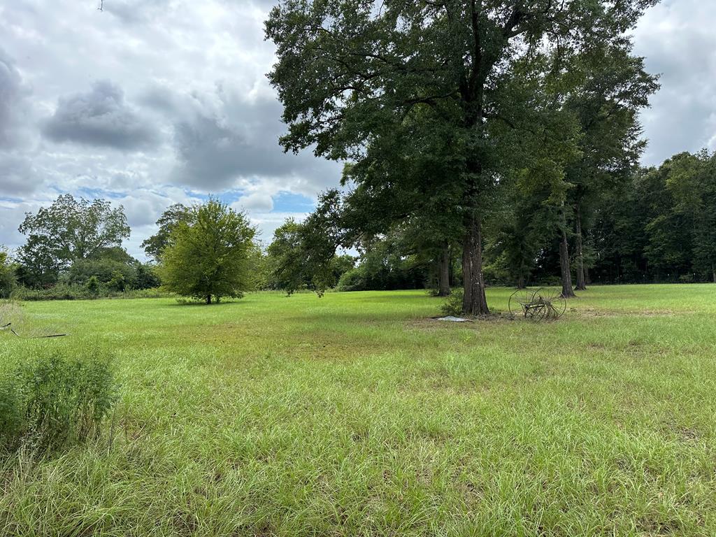 Undisclosed Address Newton, AL 36352 - Photo 9 of 13