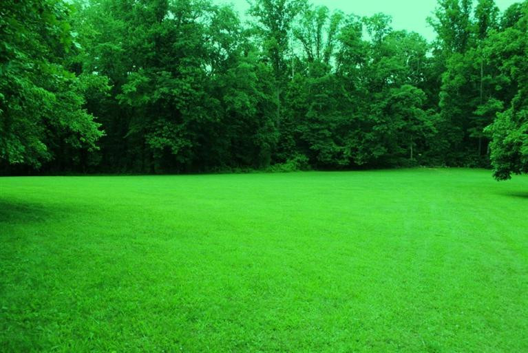376 Ike Monhollen Road Corbin, KY 40701 - Photo 18 of 41 Photo 18