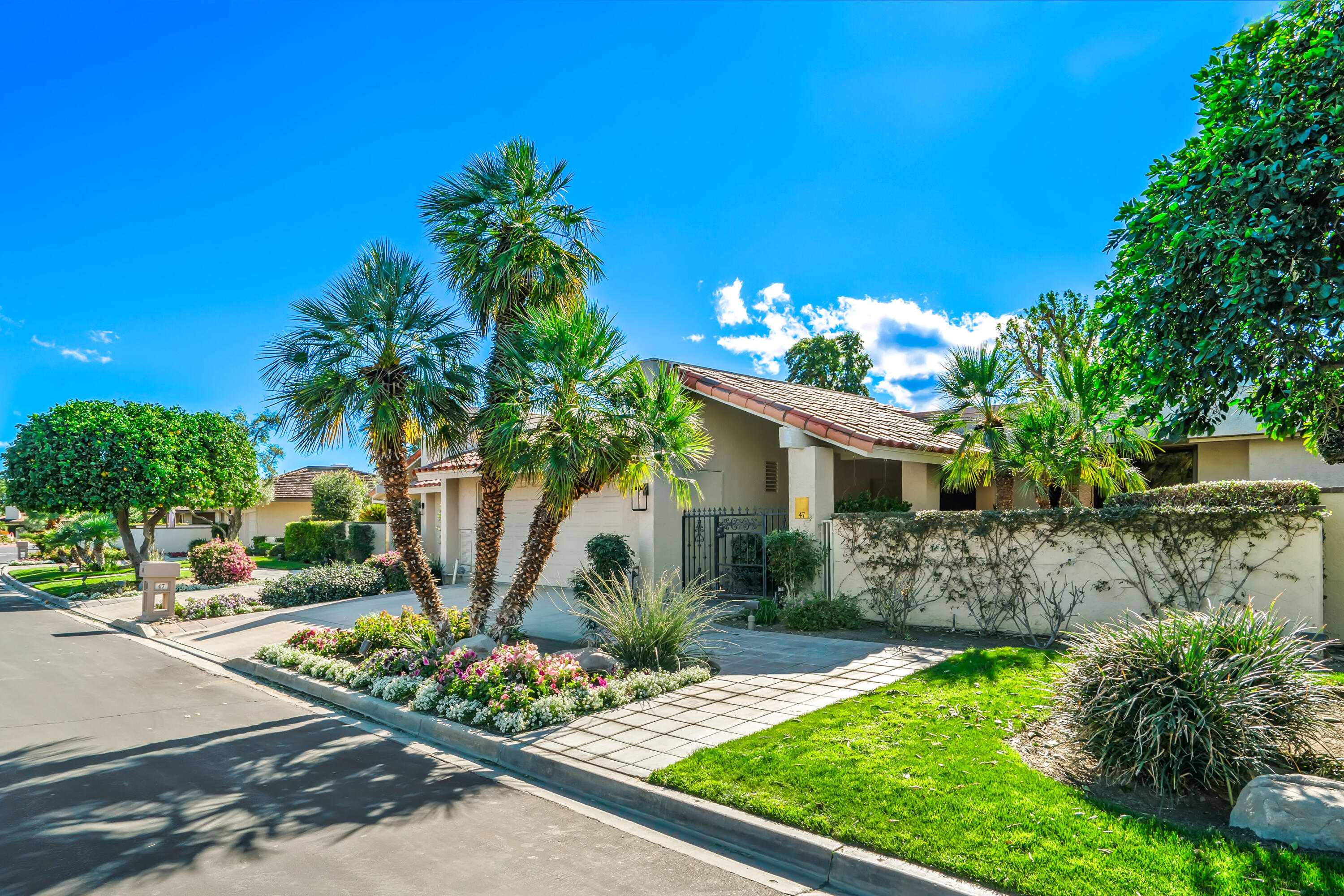 47 Columbia Drive Rancho Mirage, CA 92270 - Photo 31 of 59 a view of a garden with plants