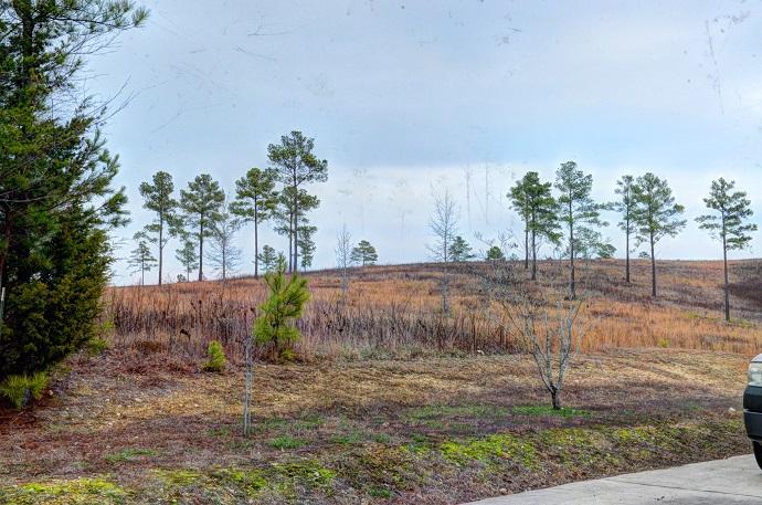 Lot 18 Henderson Road Dayton, TN 37321 - Photo 6 of 8 sneed and henderson
