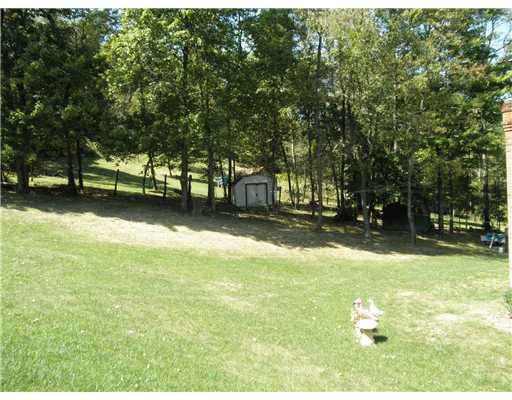 1183 Harmony Road Baden, PA 15005 - Photo 8 of 12 Other.