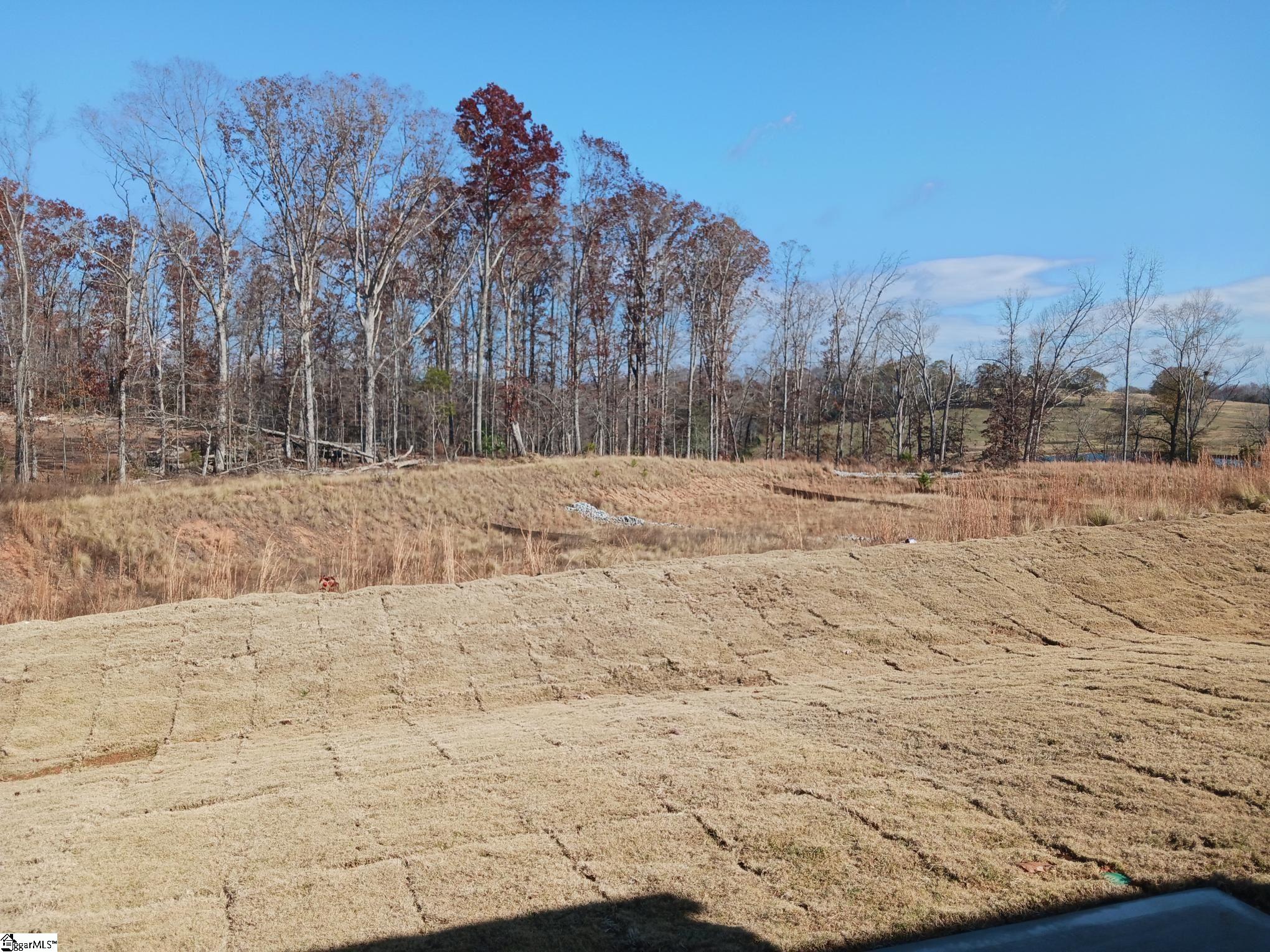 433 Haddon Trail Woodruff, SC 29388 - Photo 24 of 27