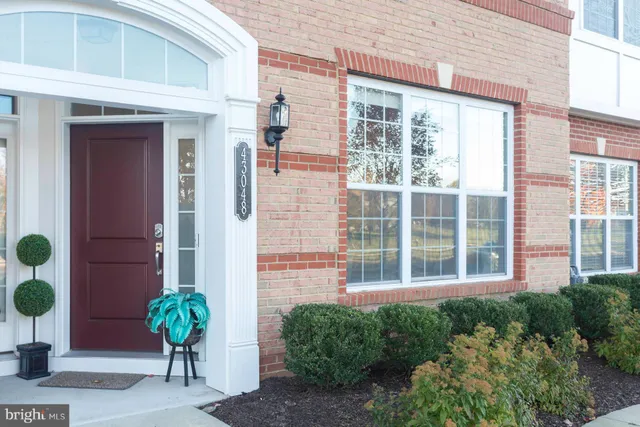a house with a potted plant