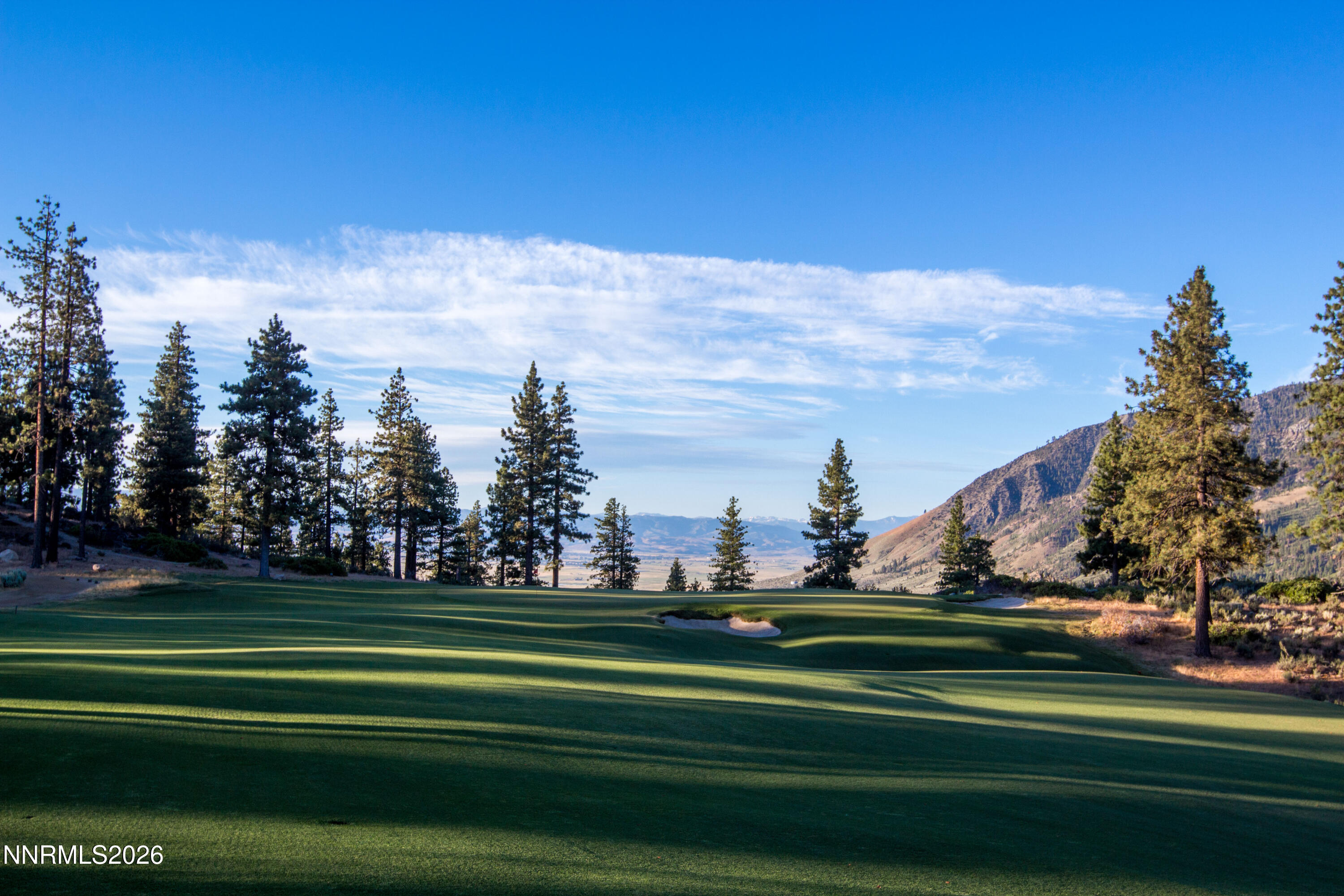 456 Headwaters Way Carson City, NV 89705 - Photo 31 of 40 a green field with lots of trees in the background