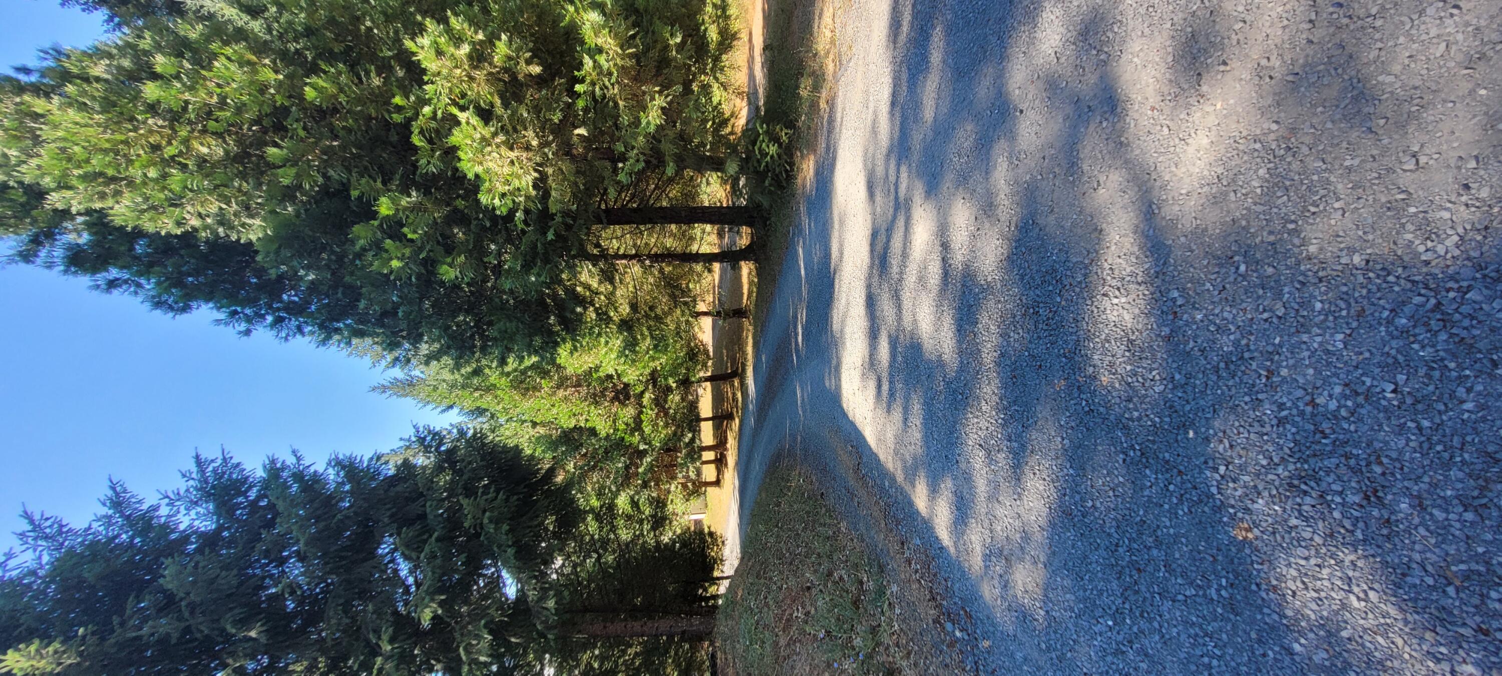 744 Crooks Creek Road Selma, OR 97538 - Photo 1 of 18 entrance