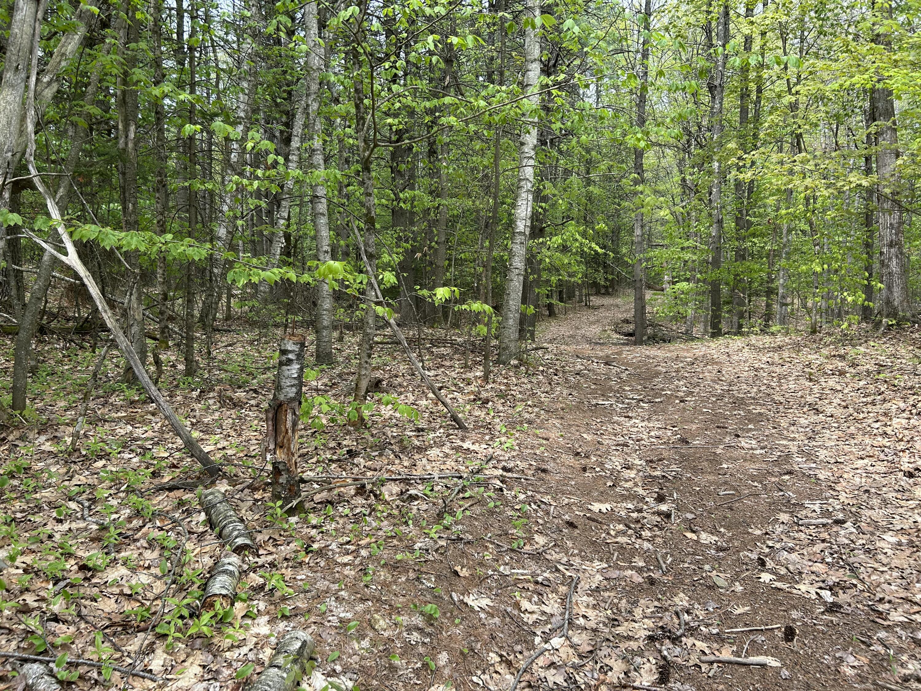 281 Randall Road Lewiston, ME 04240 - Photo 24 of 31