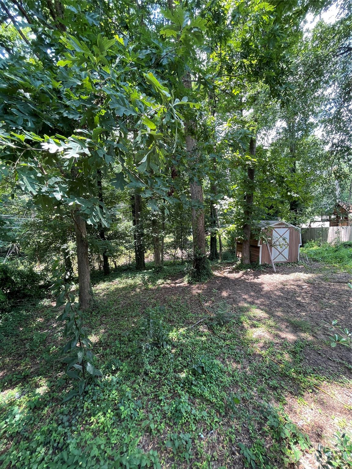 2819 Royal Ridge Lane Charlotte, NC 28212 - Photo 24 of 27 a view of a tree in a yard