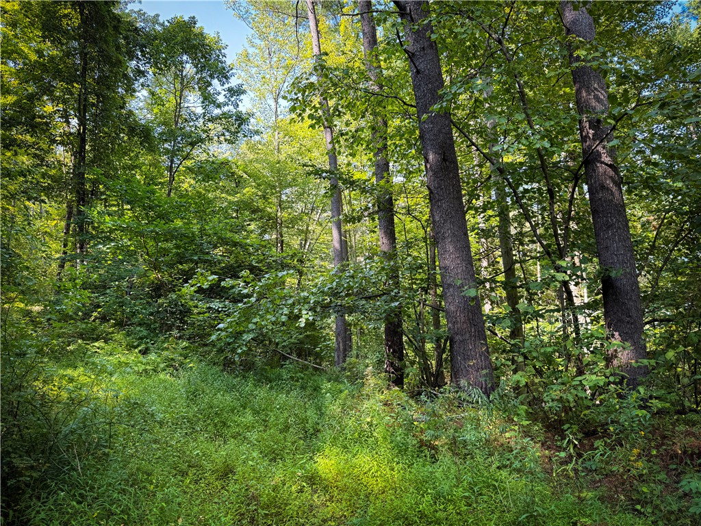 0 Worden Road Waverly, NY 14892 - Photo 28 of 42