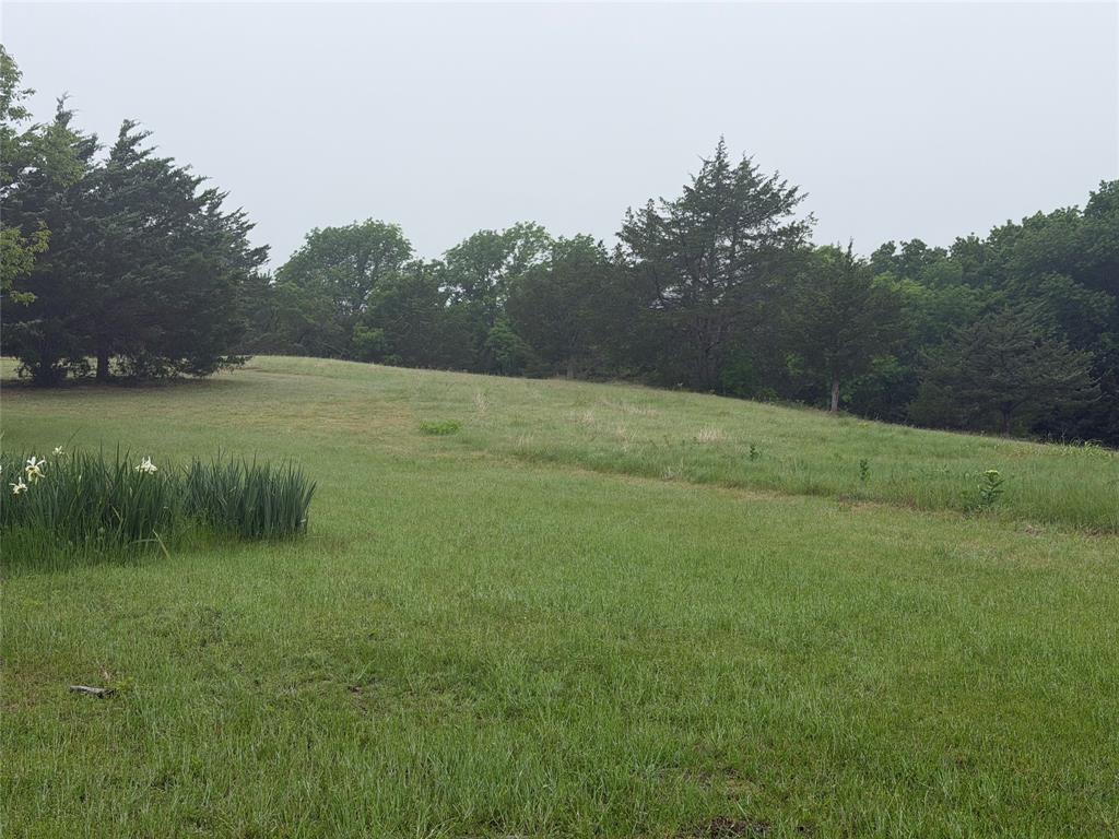 627 Homer Smith Road Van Alstyne, TX 75495 - Photo 24 of 36 a view of outdoor space with green field and trees