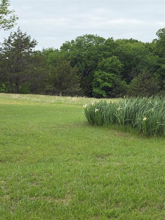 627 Homer Smith Road Van Alstyne, TX 75495 - Photo 25 of 36 a backyard of a house with lots of green space