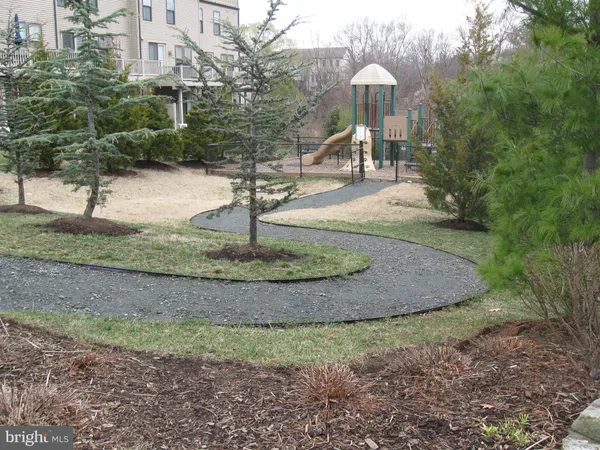 a view of a park that has large trees and plants